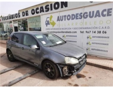 Amortiguador Porton Trasero Derecho Volkswagen Golf V  1 9 TDI