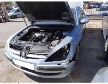 Mangueta Trasera Izquierda Peugeot 607  2 2 HDI