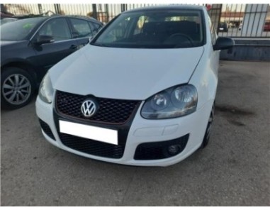 Puerta Delantera Izquierda Volkswagen Golf V  1 9 TDI