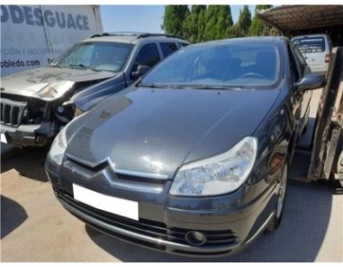 Aleta Delantera Izquierda Citroen C5 Berlina  2 0 HDi 