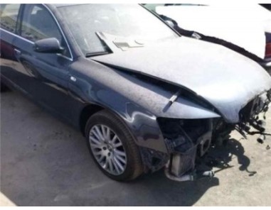 Botonera Puerta Trasera Izquierda Audi A6 BERLINA 3 0 V6 24V TDI 