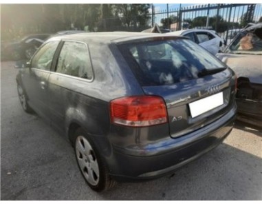 Maneta Exterior Porton Audi A3  1 6 FSI Ambiente [1 6 Ltr  - 85 kW 16V FSI]