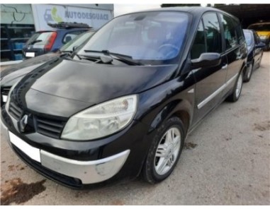 Aleta Delantera Derecha Renault GRAND SCÉNIC II  1 9 dCi 