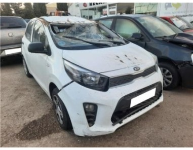 Cinturon Seguridad Delantero Izquierdo Kia Picanto  1 0 Concept [1 0 Ltr  - 49 kW CAT]