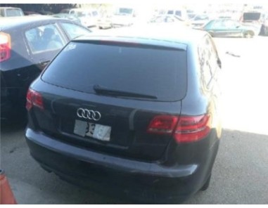 Audi A3 SPORTBACK 1 6 TDI 